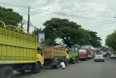 Solar Makin Langka, Antrian Kendaraan di SPBU Gorontalo Hingga Penuhi Jalan Raya!