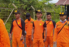 Daftar Gaji Basarnas Berdasarkan Kelas Jabatan Terbaru 2023 Lengkap Dengan Tugasnya