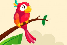 Not Pianika Lagu Burung Kakak Tua Lengkap Dengan Tutorial Mudahnya