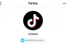 Copy Font Emoji Centang Biru Viral di TikTok Buat Menaikkan Engagement Rate Akun