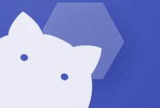 Download Shizuku v13.5.2.r10 MOD APK 2024 For Android dan iOS, Aplikasi Pembantu Tanpa Root / ADB