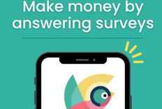Digiopinion Apk Apakah Terbukti Membayar atau Tidak yang Wajib Kamu Tau Sebelum Daftar!