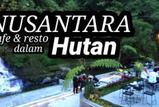 Lokasi Lengkap Nusantara Cafe and Resto Medan Serta Menu Rekomendasi Paling Laris! 