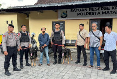 Sadis! Video Penganiayaan Hewan di Mataram Viral, Warganet Kecam Aksi Pelaku