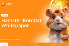 Cara Pakai Whitepaper Hamster Kombat Agar Cepat Naik Level Untuk Menghindari Penipuan dan Mehindari Boncos