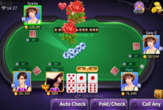 Cara Main Game Domino Qiu Qiu Buat Panen Jackpot, Buang Trik Lama Langsung Cobain Ini 