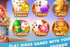 Download Topbos Domino Higgs RP APK 2024, Free Chip Gratis Lengkap dengan Fitur Tombol Kirim!