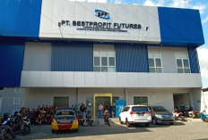 Apakah Lowongan Kerja di PT Bestprofit Futures Penipuan? Ternyata Begini Fakta Sebenarnya!