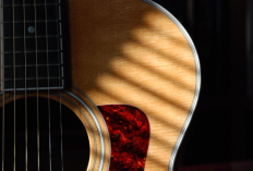 Rekomendasi Bengkel Gitar Terdekat Di Kota Bandung, Bisa Perbaiki Segala Jenis Gitar Dengan Biaya Terjangkau