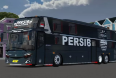 Download Livery BussID Persib Bandung SHD HDD Terbaru 2023, Makin Seru dengan Warna Full Biru