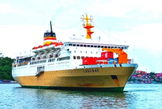Harga Tiket Kapal Laut Surabaya-Balikpapan Februari 2023, Lengkap dari Kapal PELNI hingga DLU