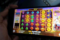Cara Pakai Raja Semar Cheat Gacor Cheat Higgs Domino 2024, Dapatkan Jackpot dan Maxwin Dengan Mudah Gak Pake Susah!