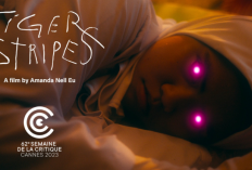 Sinopsis Film Tiger Stripes (2023) Karya Amanda Nell Eu, Sudah Tayang Perdana di Cannes Film Festival 2023