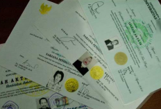 Siapa Nama Pejabat Penandatangan Ijazah? Berikut Informasi Mudah Pengisian Pendaftaran Riwayat Pendidikan PPPK Guru
