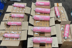 Terungkap! Selebgram ZNM dan YouTuber RV yang Terjerat Kasus Whip Pink, Kini Diamankan Kepolisian