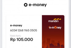 Viral di TikTok Ini Rekomendasi Aplikasi dan Penghasil Uang Resmi Bisa Dapat Cuan Sampai 100K Per Hari