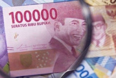 Pinjaman KUR BRI Untuk yang Belum Menikah Apakah Bisa? Simak Penjelasan Banker Ini!