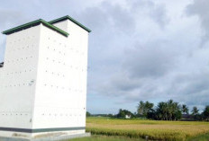 Rab Rumah Walet Adalah? Pengertian, Potensi Keuntungan, dan Alasan Investasi