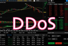 Download Software DDoS Attack For Windows PC Terbaru 2024, Lengkap Beserta Cara Penggunaannya!