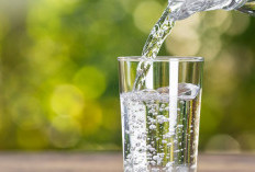 Cara Mengukur 500 ml Berapa Gelas Tanpa Pakai Alat Tambahan