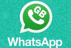 Free Download WA GB Versi Terbaru Tahun 2024, Tanpa Iklan Tidak Akan Kadaluarsa Gratis Untuk Android