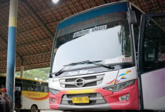 Jadwal Bus Bungurasih Bojonegoro - Bojonegoro Bungurasih Terbaru 2025 dan Tarif Per Orang, Liburan Mudik Makin Lancar!