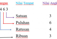 Materi Nilai Tempat Bilangan Matematika SD, Disertai dengan Contoh Soal