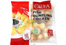 4 Cara Menjadi Agen Cedea Frozen Food, Modal Freezer Doang Bisa Sembari Nyantai Cari Cuan 