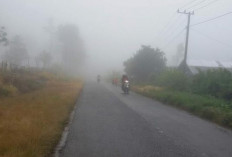 Mengenal Kabut: Pengertian dan Jenis-jenisnya