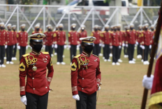 Pendaftaran Sekolah Kedinasan STIN 2024: Jadwal, Syarat, Program Studi, dan Link Registrasi