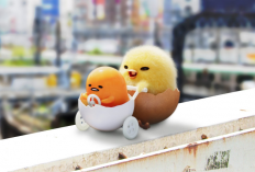 Nonton Gudetama An Eggcellent Adventure Full Episode 1-10 Sub Indo, Shakipiyo Tunjukkan Arti Kehidupan Pada Si Telur Pemalas