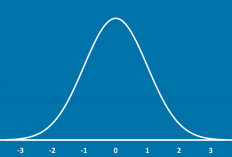 Cara Membuat Kurva Distribusi Normal di SPSS Disertai Cara Membacanya