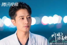 Nonton Drama China Love Heals (2023) Full Episode 1-36 Sub Indo, Ning Zhi Qia Mantan Suami yang Kini Menjadi Mentor Ruan Liu Zheng
