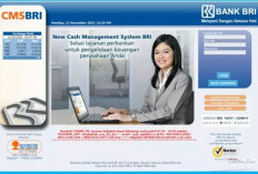 Cara Menggunakan BRI CMS (Cash Management System) Untuk Catat Transaksi Rekening Bisnis