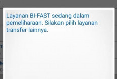 Layanan BI-Fast Gangguan Hai Ini 11 Mei 2024, Sampai Kapan? Cek Banyak Update Pembaharuan!