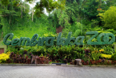 Gembira Loka Zoo Yogyakarta: Harga Tiket Masuk 2023, Wahana dan Koleksi Satwa, Serta Fasilitas Wisata