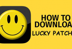 Download Lucky Patcher Higgs Domino MOD APK Versi Terbaru 2023, Unlimited Chip Main Sepuasnya! 