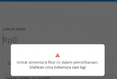 Aplikasi DANA Error Hari Ini 22-23 Februari 2024, Gangguan Jaringan atau Server? Begini Cara Mengatasinya