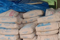 Harga Semen Melonjak Tajam di Aceh Tengah, Ini Daftar Terbaru Harga Bahan Bangunan dan Biaya Material Konstruksi di Takengon