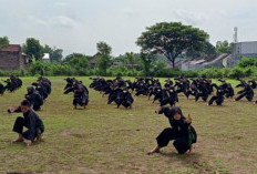 Cara Daftar PSHT Surabaya, Yang Mau Belajar Silat Begini Prosedur, Biaya, Hingga Tata Tertibnya 