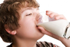 Perbedaan Dancow Batita dan Nestle Batita, Begini Cara Membedakannya!
