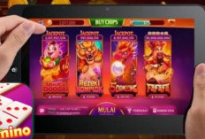  Higgs Domino RP Original APK 2024 Terbaru Free Download, V5.30 Tanpa Iklan dan X8 Speeder Hanya Untukmu!