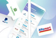Toluna Influencers Penipuan Atau Bukan? Waspada Scam! Begini Review Jujur Pengguna Aplikasinya