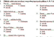 Kunci Jawaban Soal Bahasa Sunda Kelas 3 SD/MI Halaman 40 Kurikulum Merdeka Soal Isian, Cek di Sini 