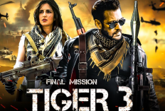 Sinopsis Film Tiger 3 (2023) , Salman Khan dan Katrina Kaif Siap Jalani Misi Terakhir