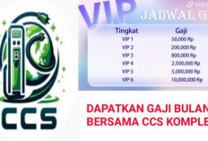 Apakah CCS Compleo Penghasil Uang Penipuan? Waspada! Begini Tanggapan Langsung dari Ahli
