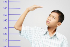 Manfaat Susu Zee dan Dancow Sebagai Peninggi Badan, Yang Mana yang Bakal Jadi Pilihanmu?