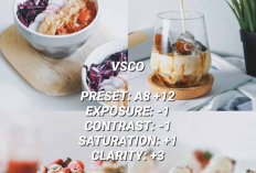 Kumpulan Ide Preset VSCO Aesthetic Terbaru, Mudah Dicoba Hasilnya Keren Banget