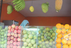 Inspirasi Warung Jus Buah Depan Rumah Minimalis, Bisa Jadi Ide Referensi Sebelum Membangung!