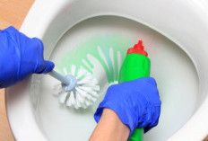 Tips Mengatasi WC Jongkok dan Duduk Mampet Dalam 5 Menit Beres Dijamin Cepat dan Ati Repot Pokoknya: CATAT!, 